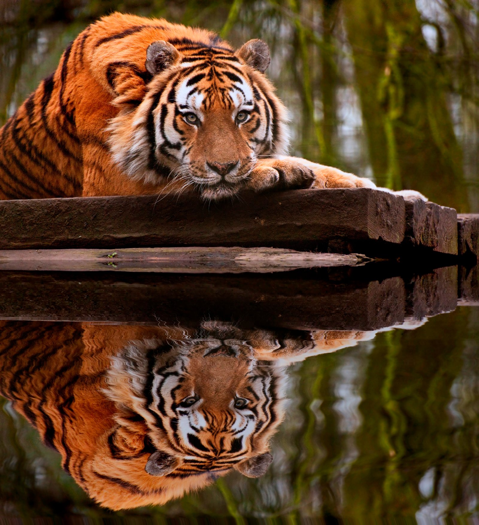 Fix Your Team: Rebuild Relationships and Stop Destructive Behaviour