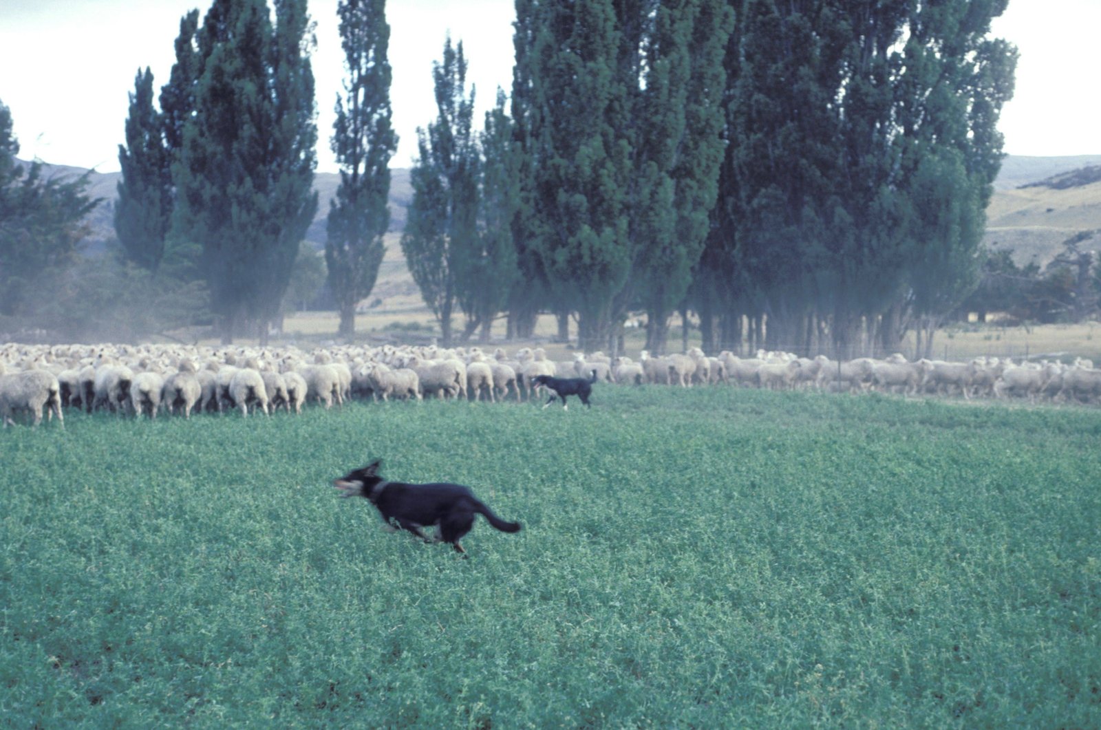 Fundamentals of Outcome-Based Education: Industry 4.0 Perspective