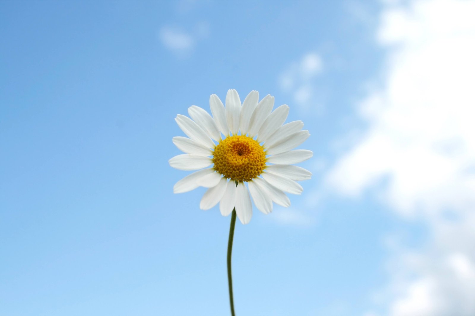 Designing Organisation for Creativity and Innovation