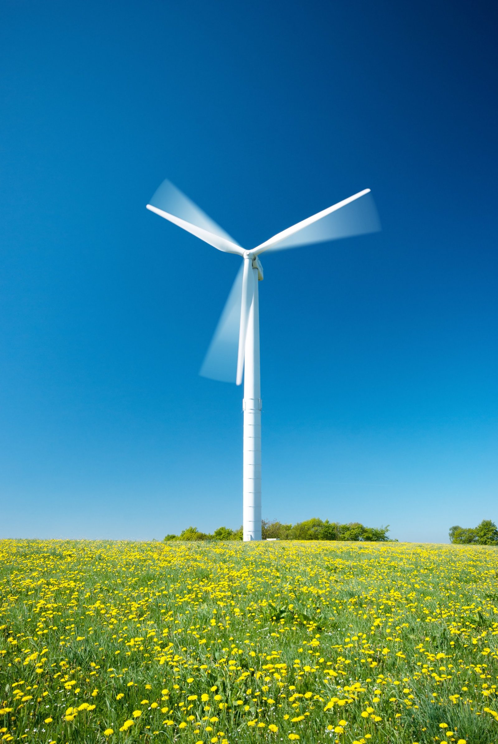 Budaya Kerja Cemerlang