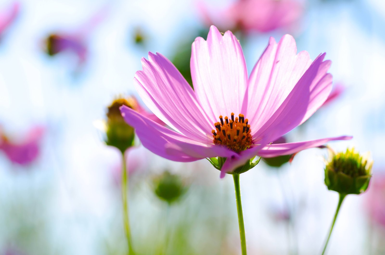 Prevention is Better than Cure: Productivity Stimulant