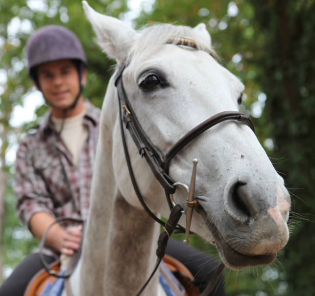 AI Toolkit for Educators